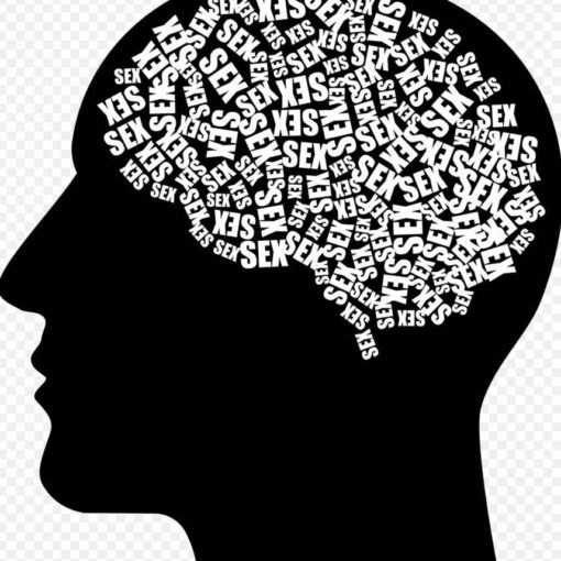 seksualność człowieka