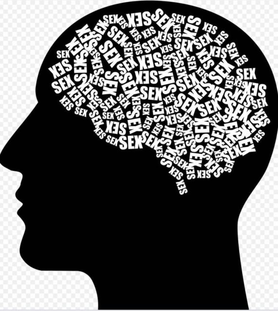 seksualność człowieka